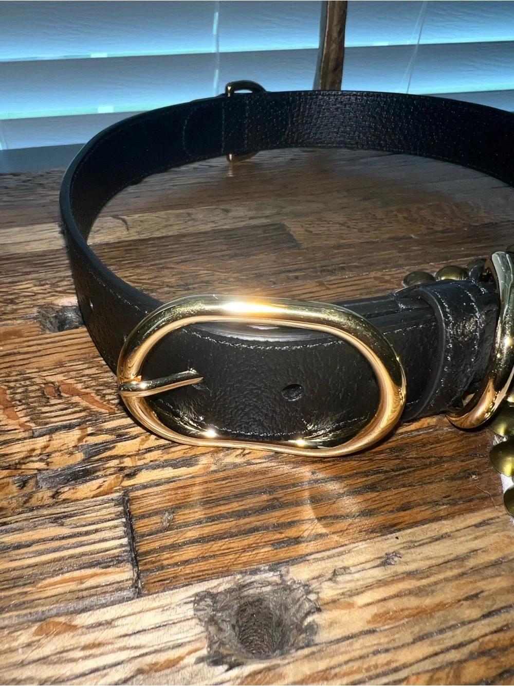 Gucci Black Leather dog collar with Gold Hardware